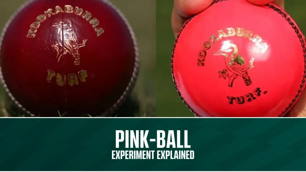 pink-ball-experiment-test